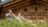 Beim-Alphorn-spielen
