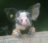 20180616_151409_c