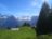 Kuehe-auf-der-Alp-Schweizer-Alpkaese