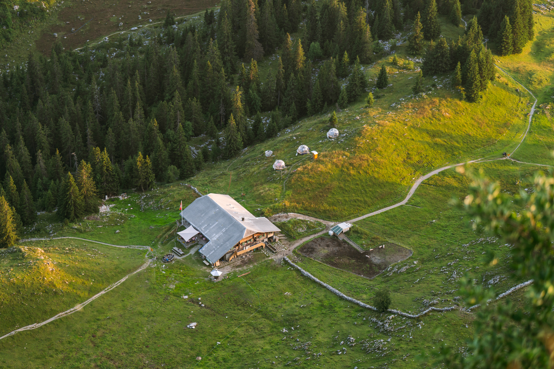 LB_2025-08-09_LNB08649a