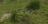 Murmeltier_Alp erleben_Jessica_3_
